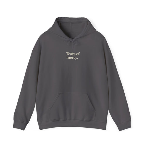(Tears of mercy) SON of GOD Hoodie — Unisex Heavy Blend (Grey)